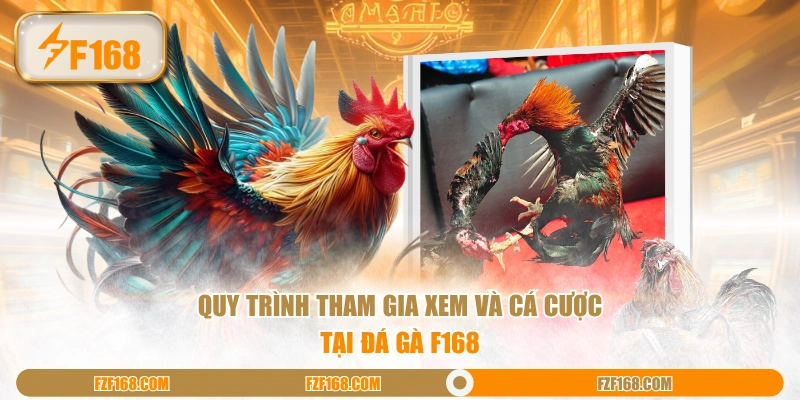 Dữ liệu trận đấu chọi kê tại Đá Gà F168 minh bạch và dễ phân tích
